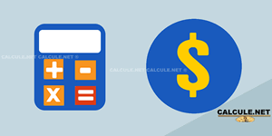 Calculadora de INSS 2025 | calcule.net